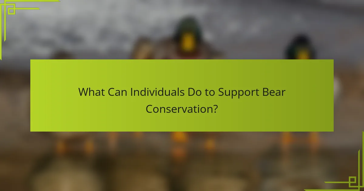 What Can Individuals Do to Support Bear Conservation?