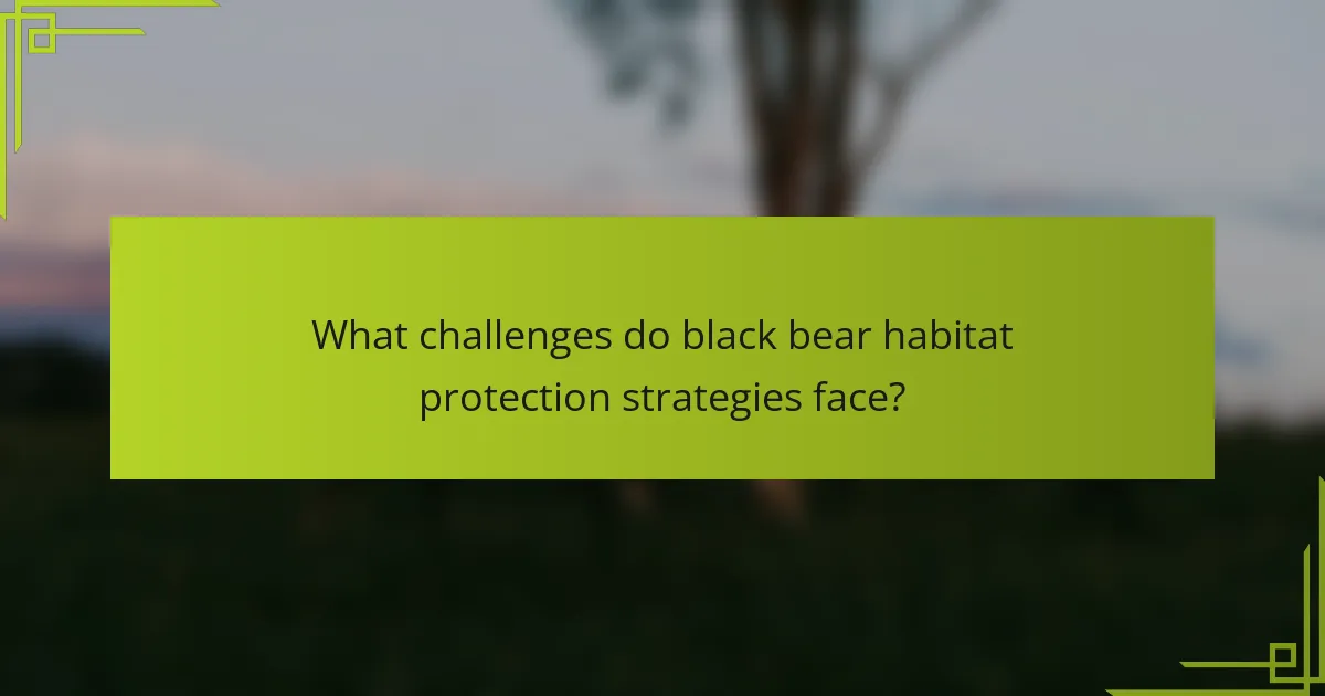 What challenges do black bear habitat protection strategies face?