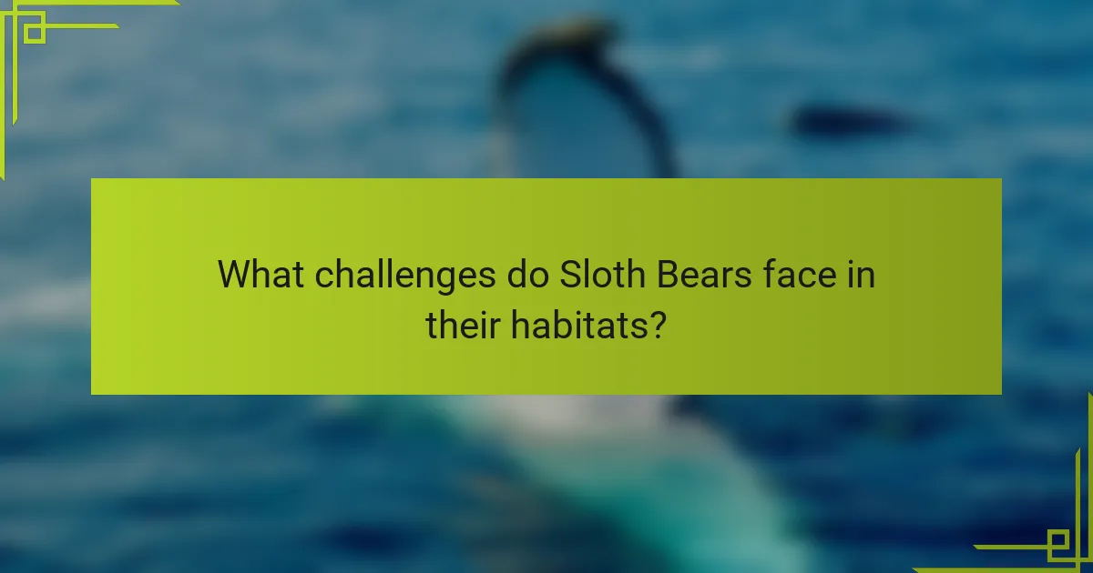 What challenges do Sloth Bears face in their habitats?