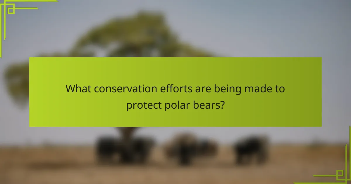 What conservation efforts are being made to protect polar bears?