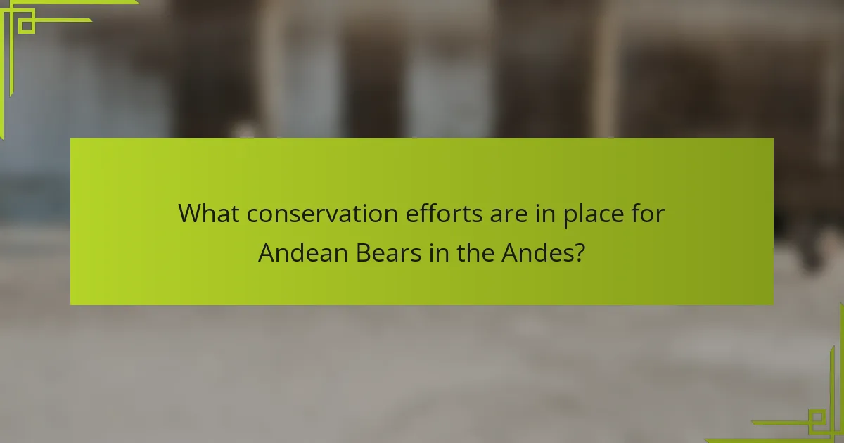 What conservation efforts are in place for Andean Bears in the Andes?