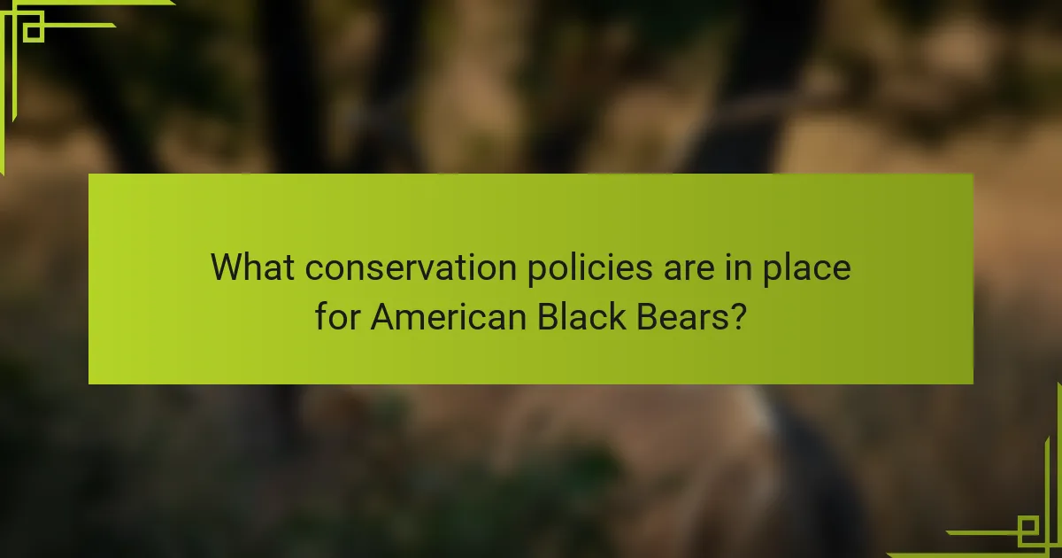 What conservation policies are in place for American Black Bears?