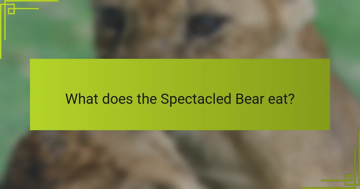 What does the Spectacled Bear eat?
