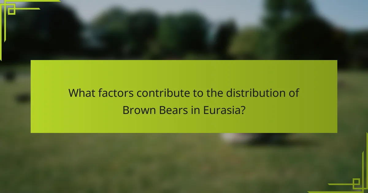 What factors contribute to the distribution of Brown Bears in Eurasia?