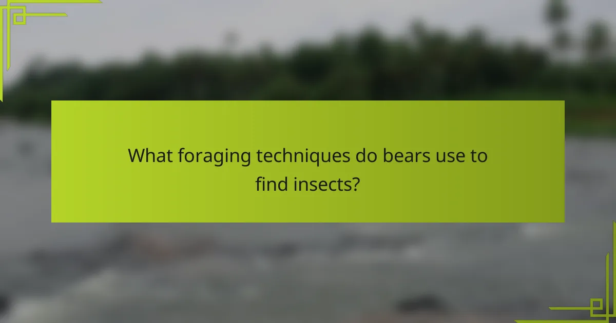 What foraging techniques do bears use to find insects?