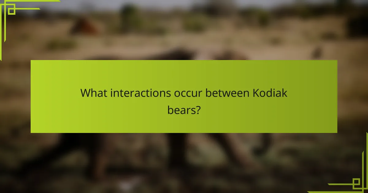 What interactions occur between Kodiak bears?
