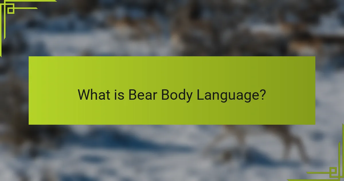 What is Bear Body Language?