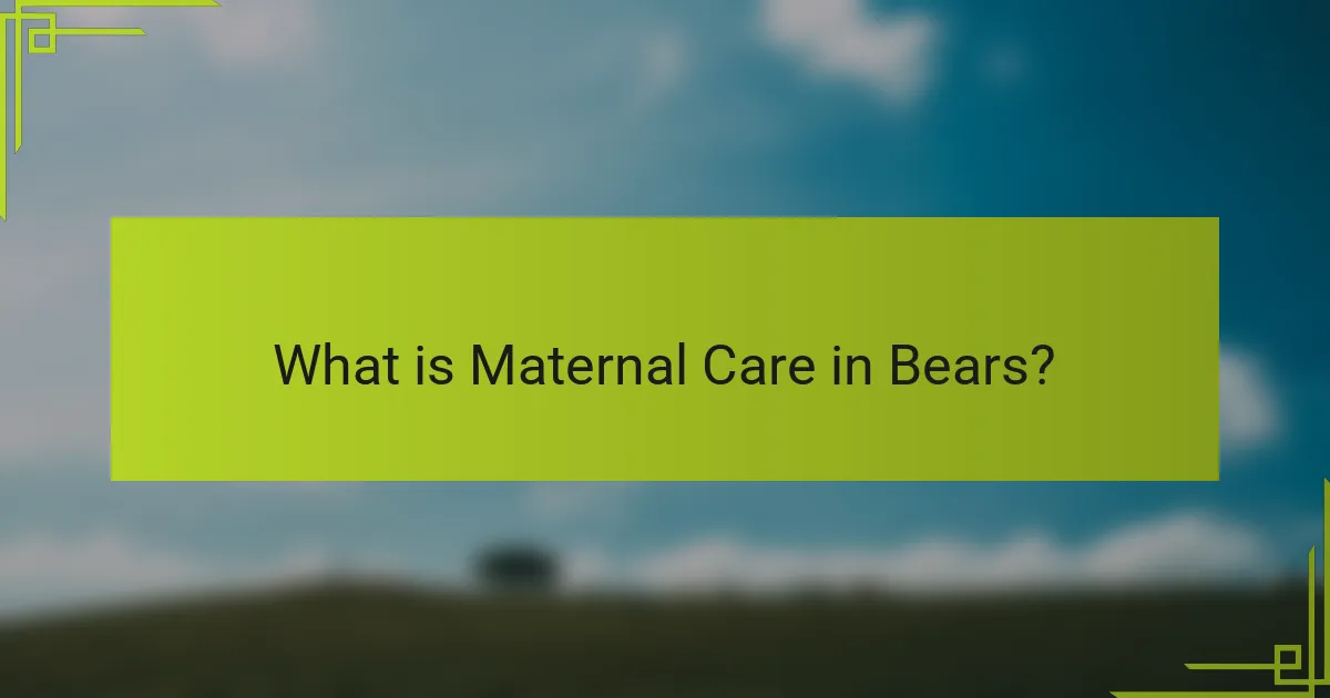 What is Maternal Care in Bears?