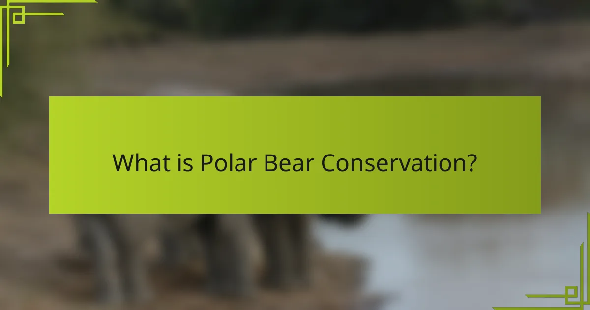 What is Polar Bear Conservation?