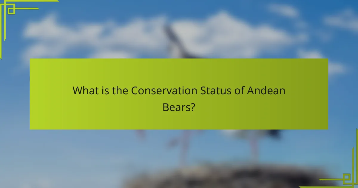 What is the Conservation Status of Andean Bears?