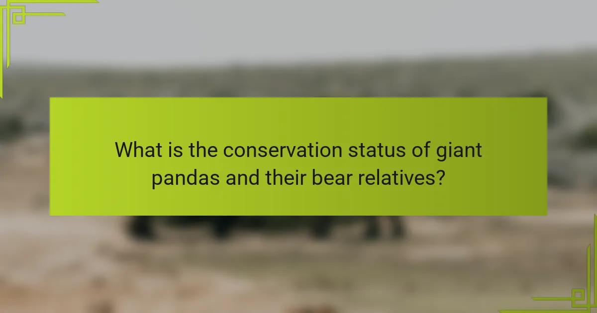 What is the conservation status of giant pandas and their bear relatives?