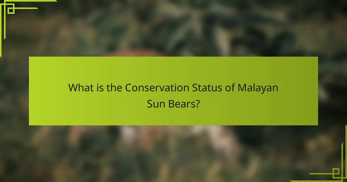What is the Conservation Status of Malayan Sun Bears?