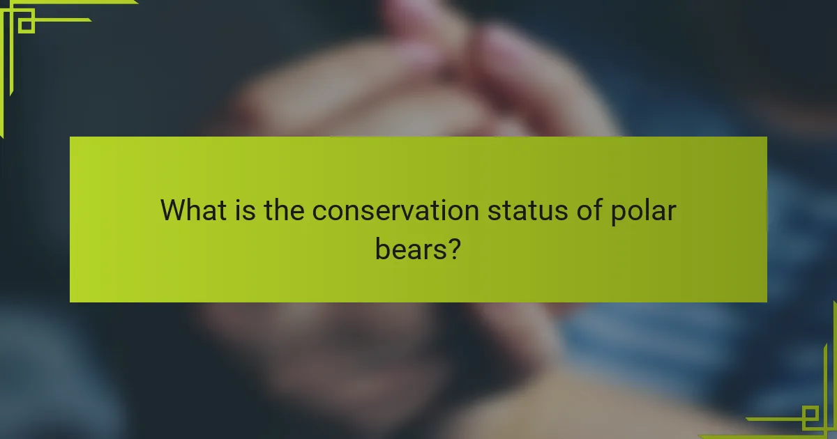 What is the conservation status of polar bears?