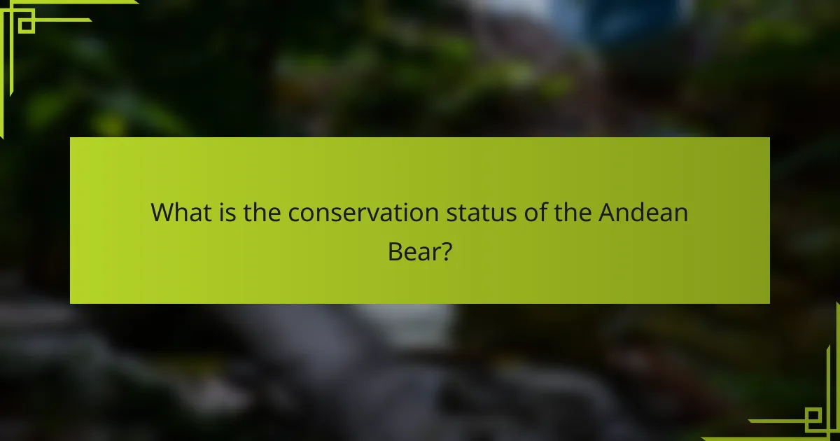 What is the conservation status of the Andean Bear?