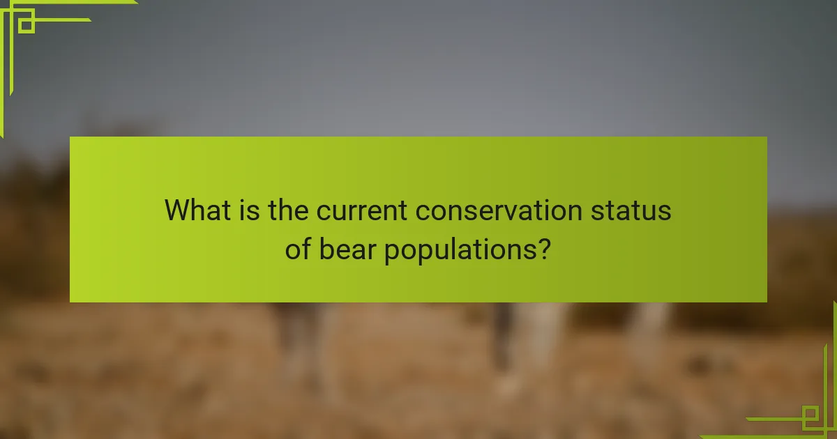 What is the current conservation status of bear populations?