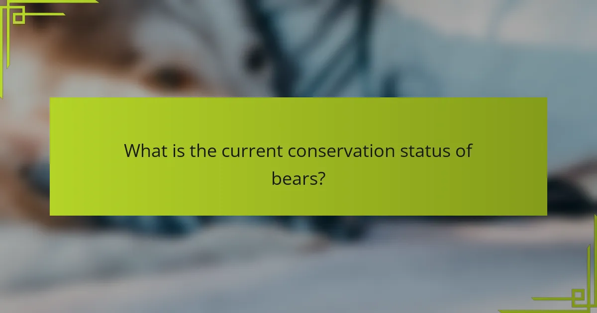 What is the current conservation status of bears?