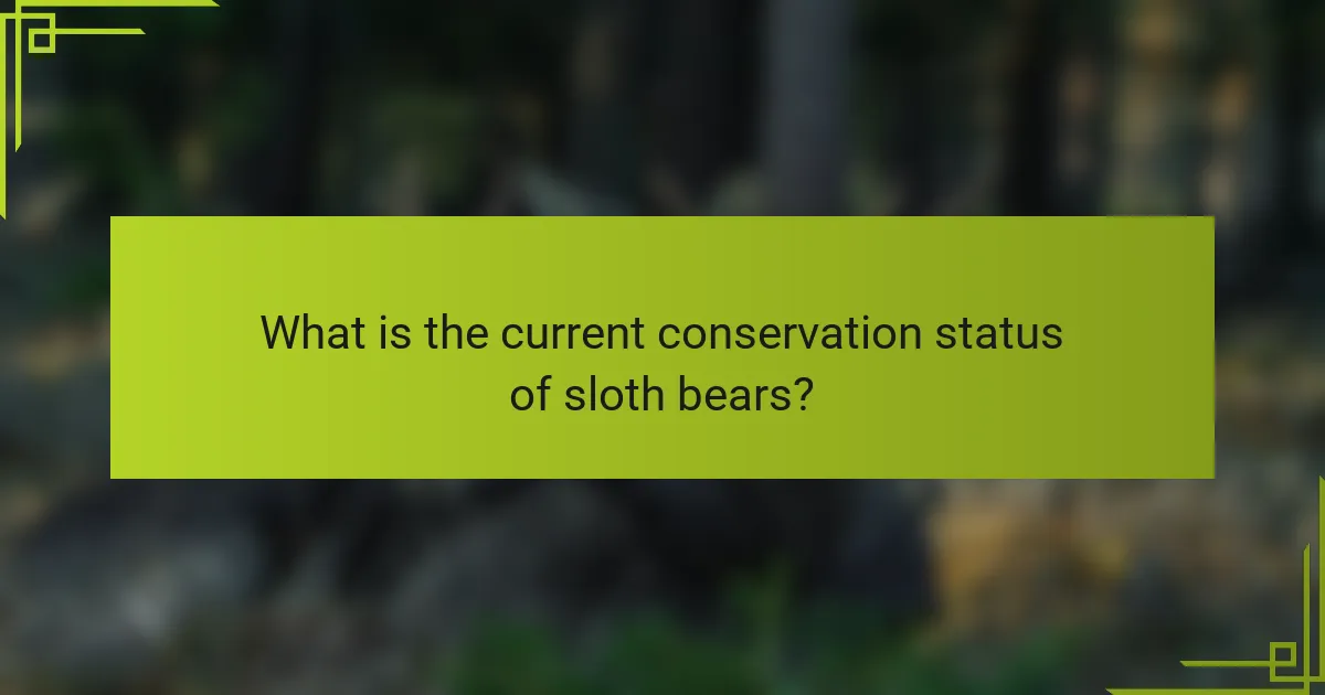 What is the current conservation status of sloth bears?