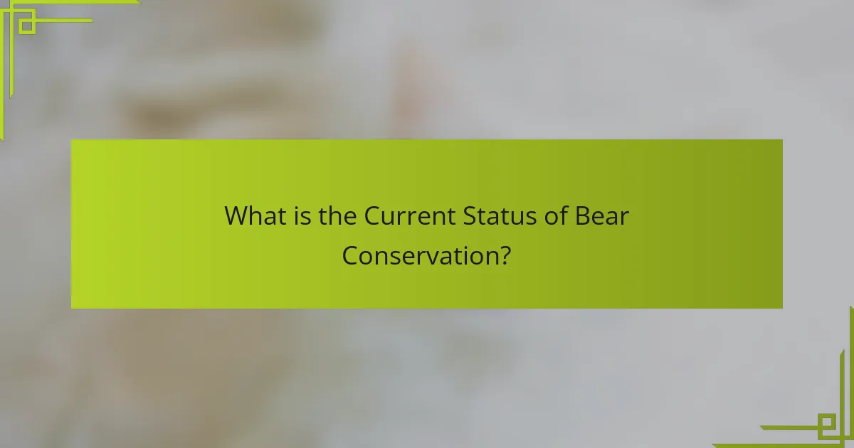 What is the Current Status of Bear Conservation?