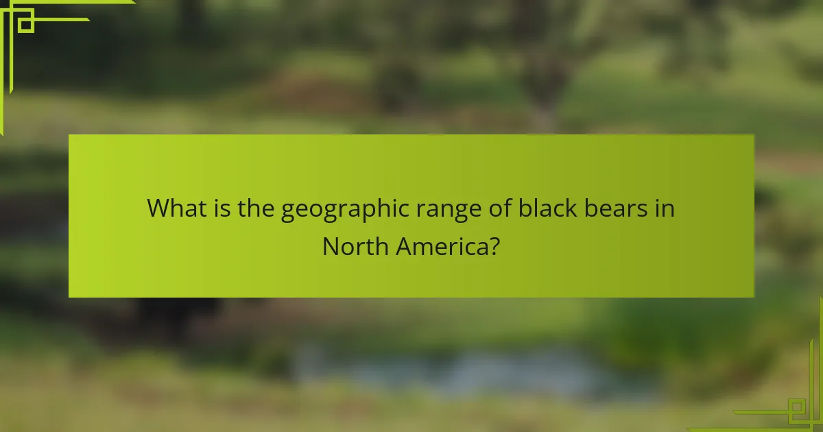 What is the geographic range of black bears in North America?