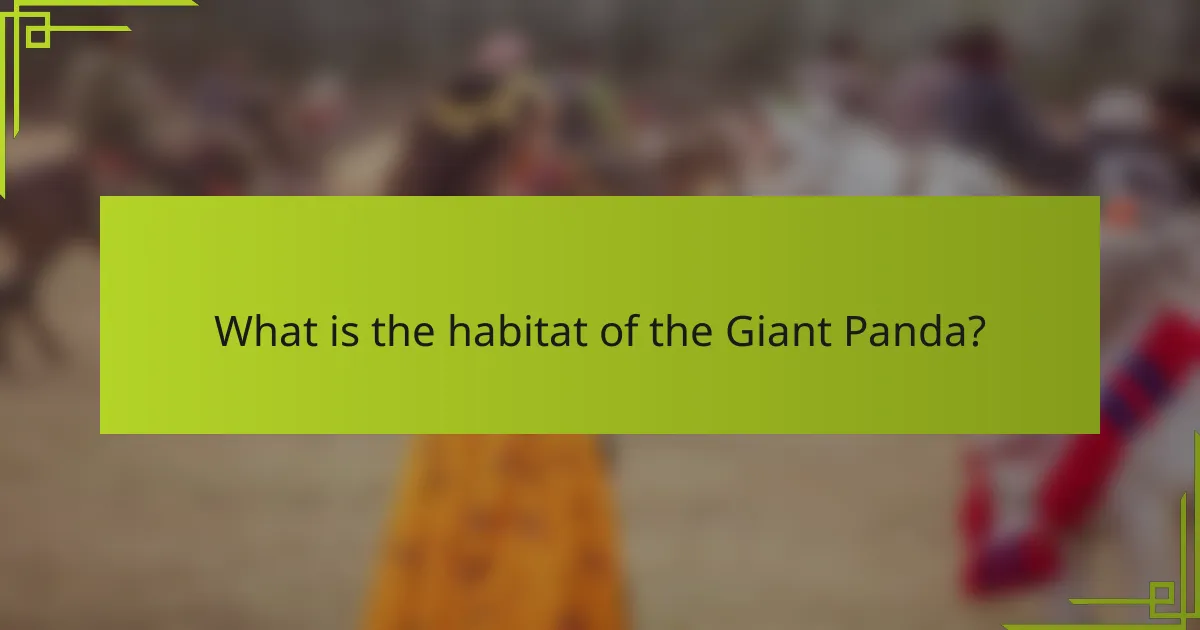 What is the habitat of the Giant Panda?