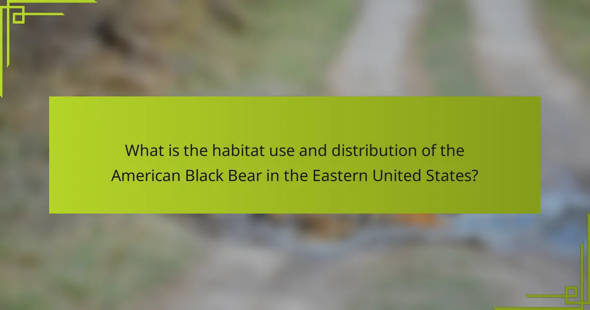 What is the habitat use and distribution of the American Black Bear in the Eastern United States?