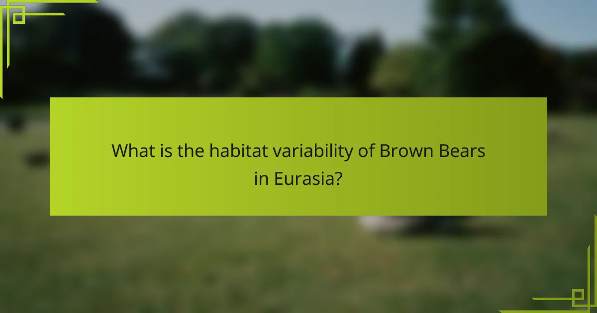 What is the habitat variability of Brown Bears in Eurasia?