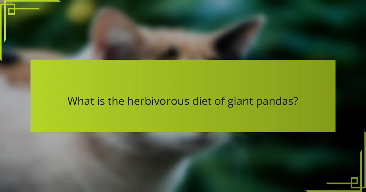 What is the herbivorous diet of giant pandas?