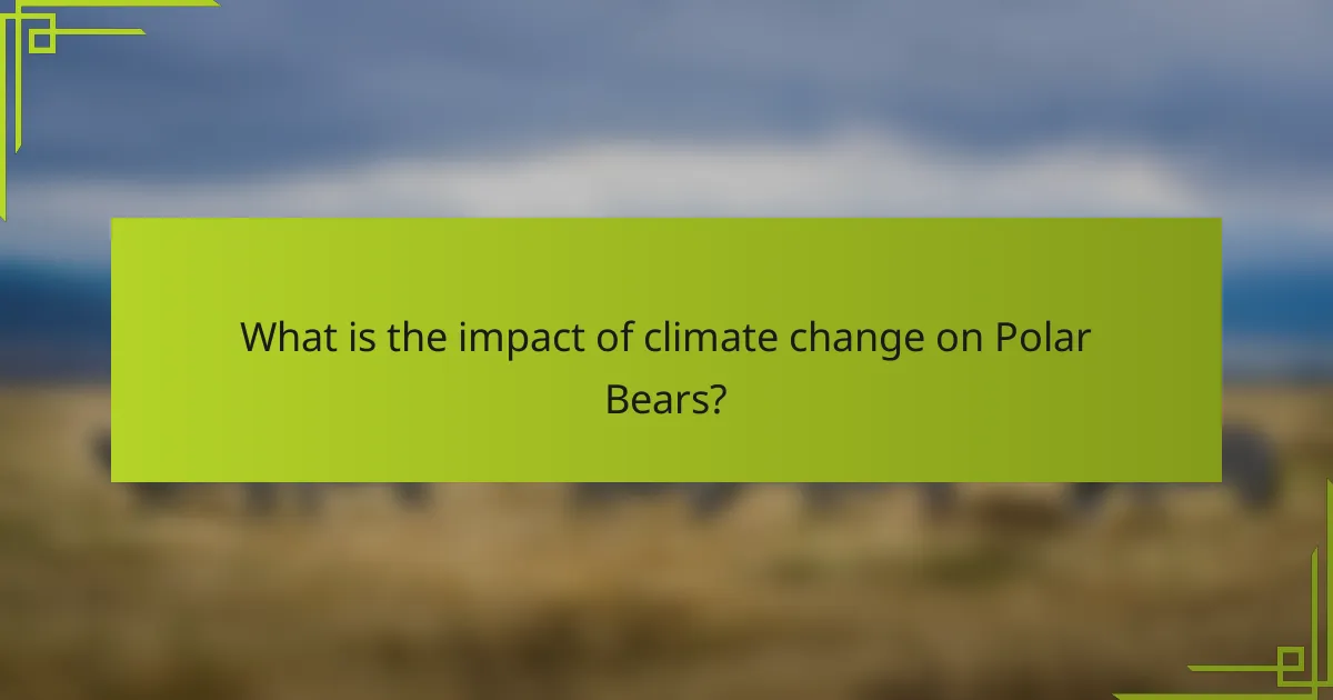 What is the impact of climate change on Polar Bears?