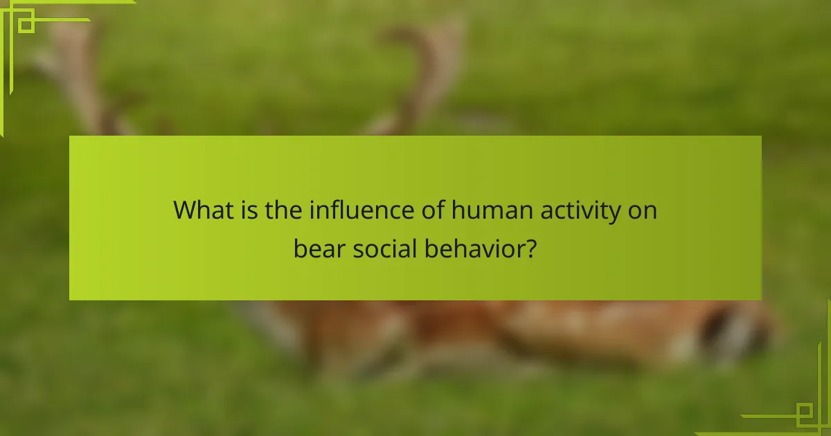 What is the influence of human activity on bear social behavior?