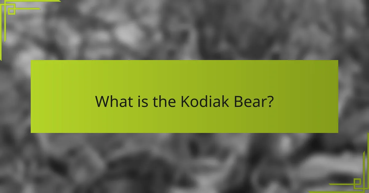 What is the Kodiak Bear?
