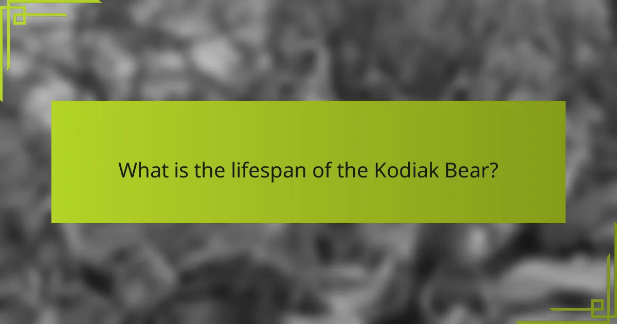 What is the lifespan of the Kodiak Bear?