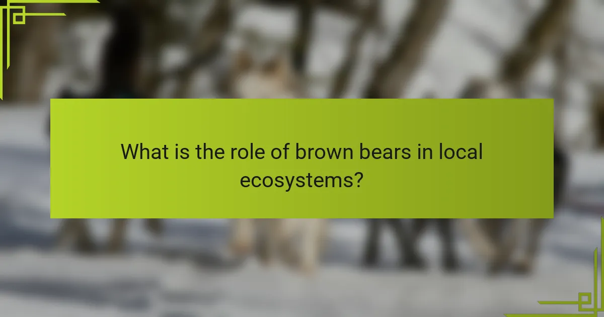 What is the role of brown bears in local ecosystems?
