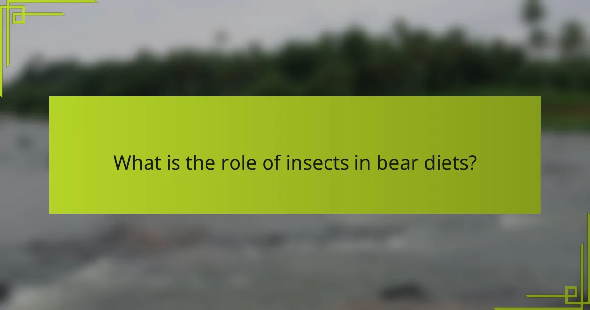 What is the role of insects in bear diets?