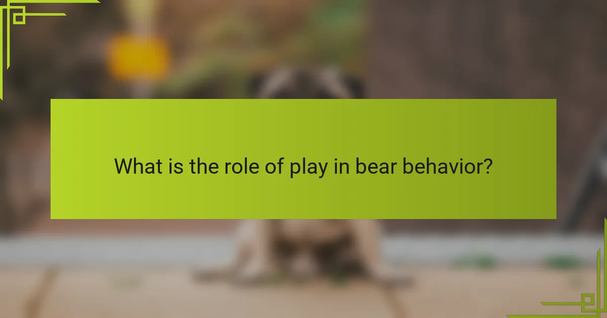 What is the role of play in bear behavior?