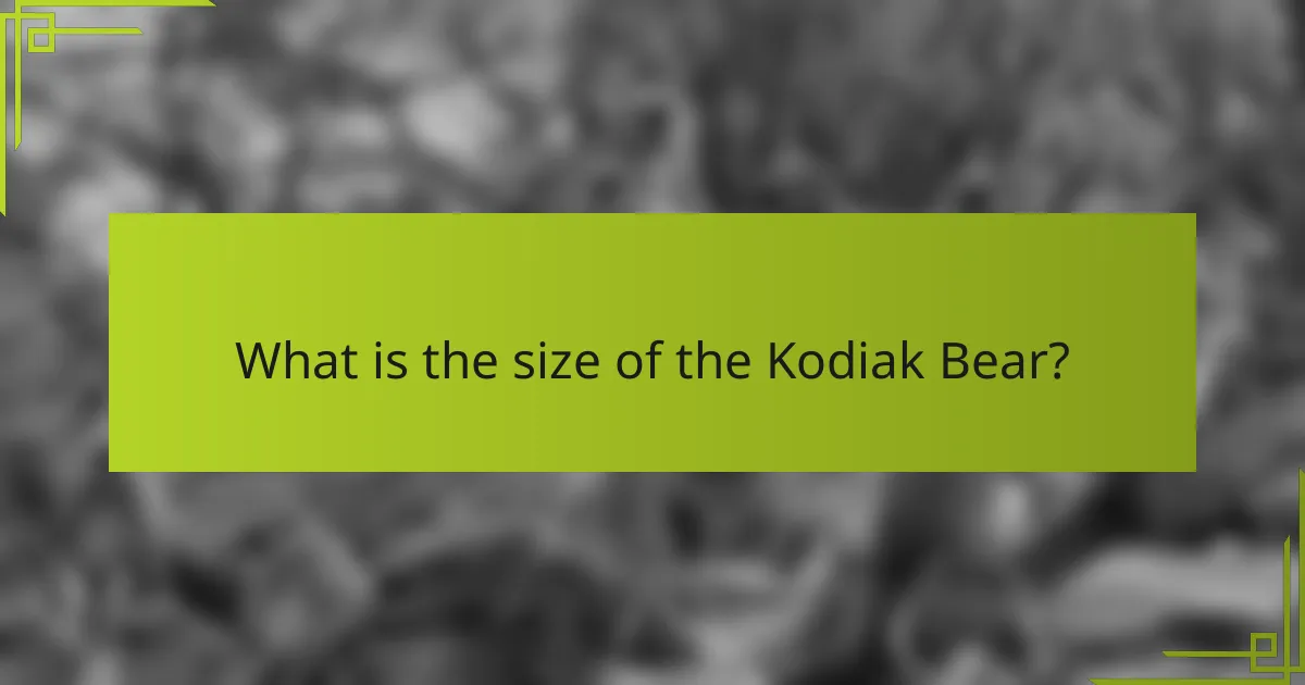 What is the size of the Kodiak Bear?