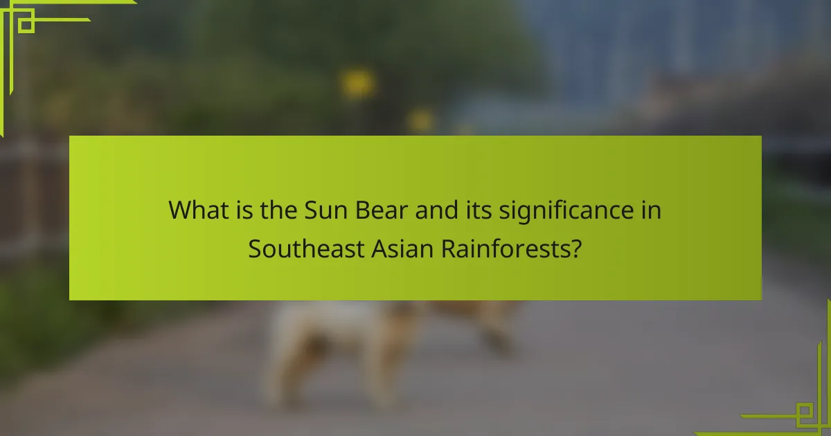 What is the Sun Bear and its significance in Southeast Asian Rainforests?