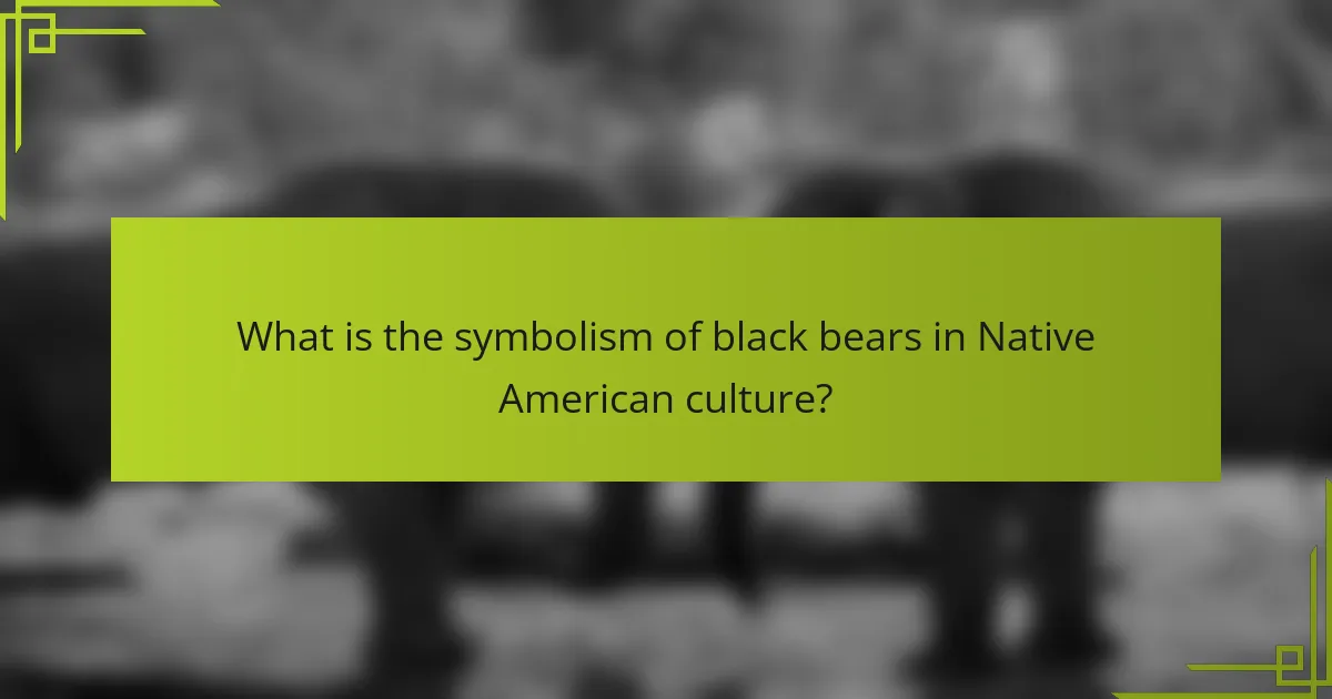 What is the symbolism of black bears in Native American culture?