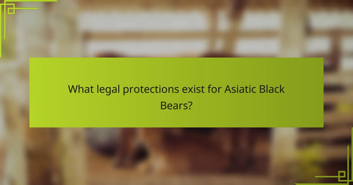 What legal protections exist for Asiatic Black Bears?