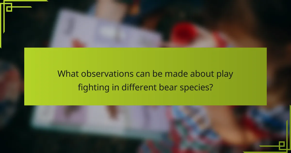 What observations can be made about play fighting in different bear species?