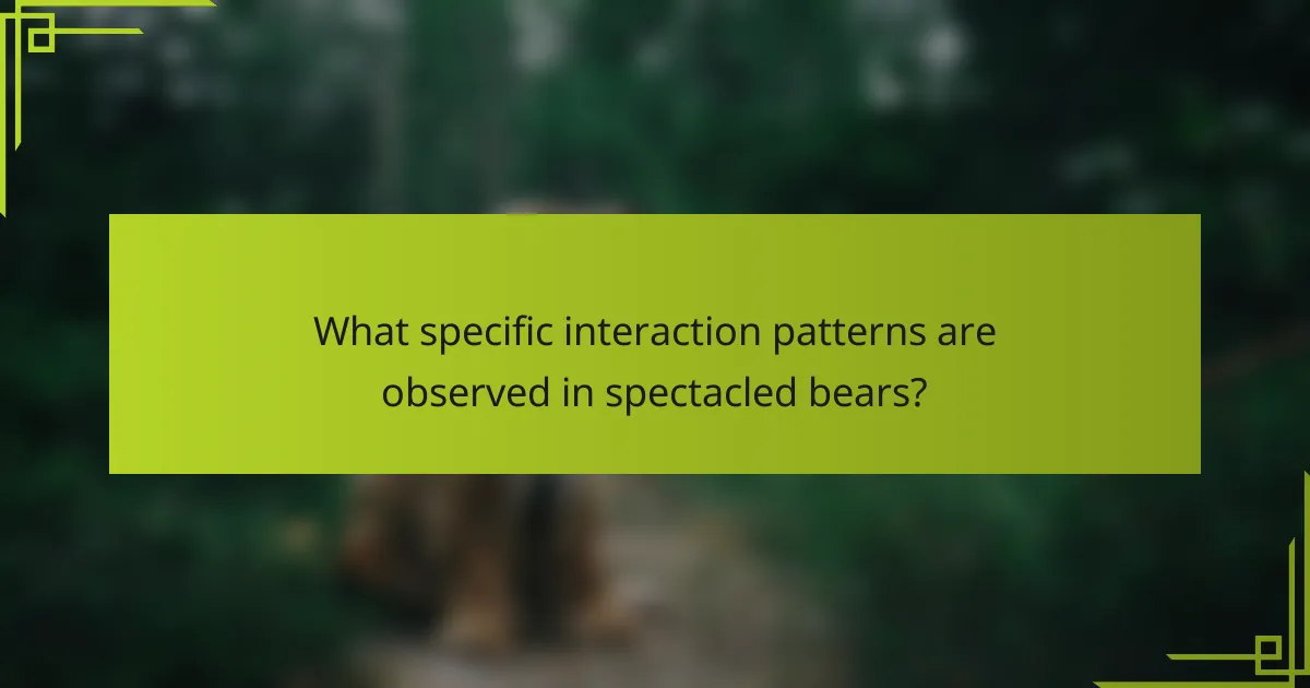 What specific interaction patterns are observed in spectacled bears?