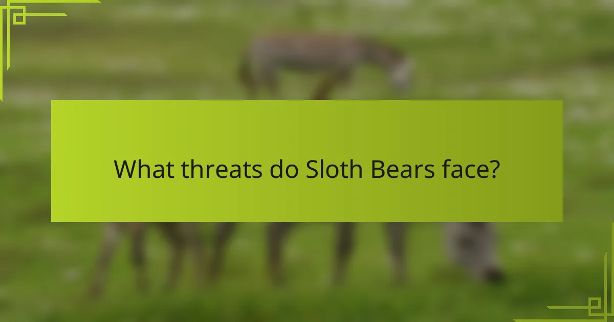 What threats do Sloth Bears face?