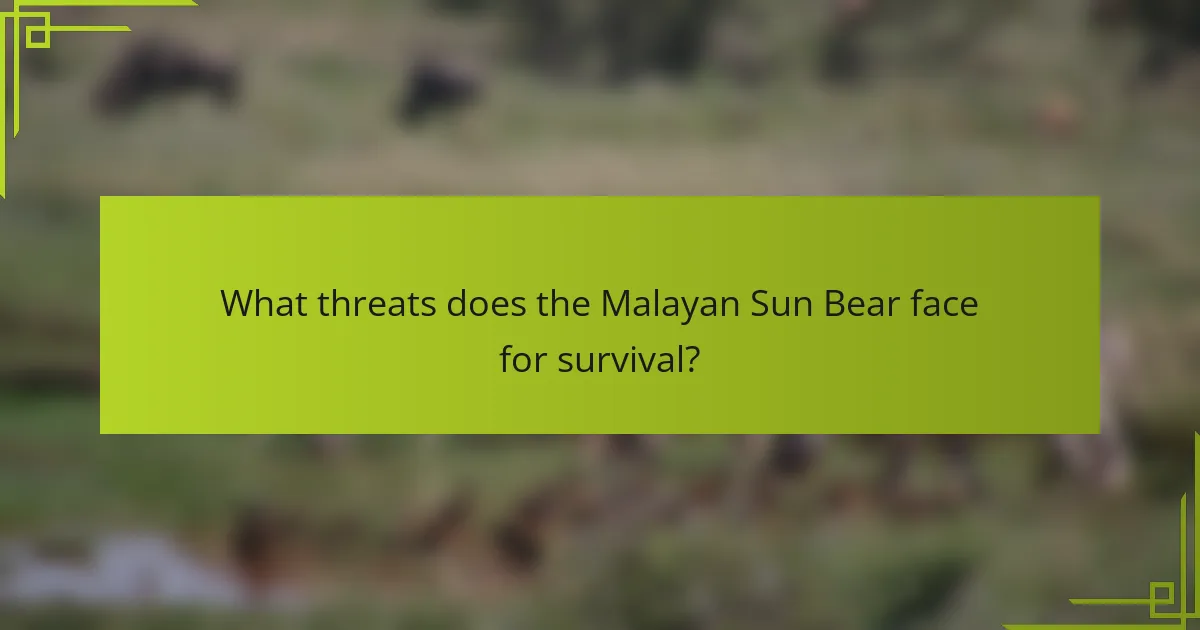 What threats does the Malayan Sun Bear face for survival?
