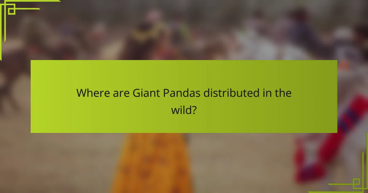 Where are Giant Pandas distributed in the wild?