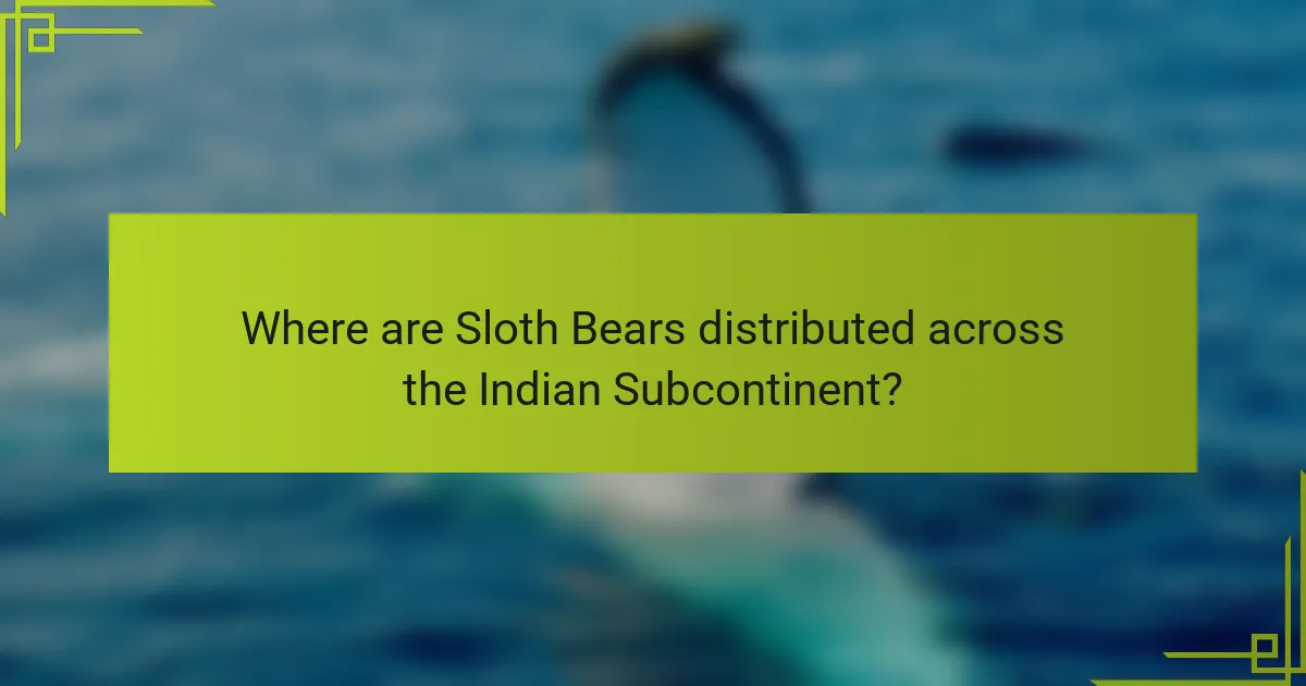 Where are Sloth Bears distributed across the Indian Subcontinent?