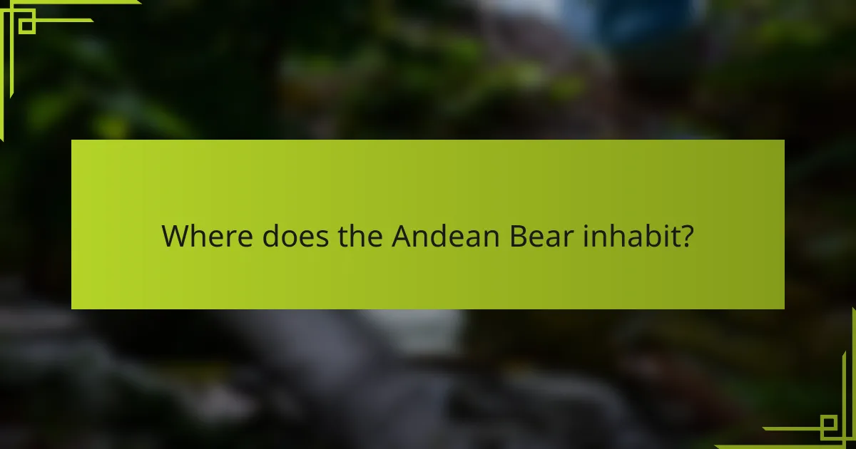 Where does the Andean Bear inhabit?