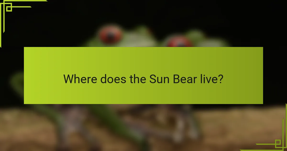 Where does the Sun Bear live?