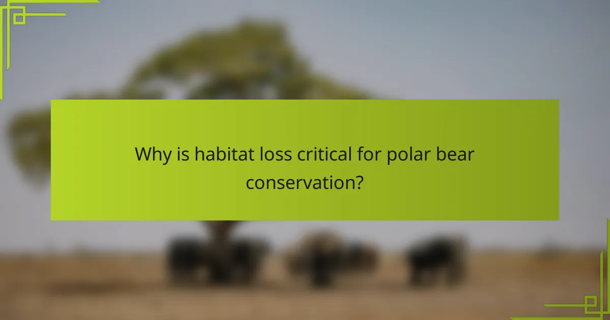 Why is habitat loss critical for polar bear conservation?